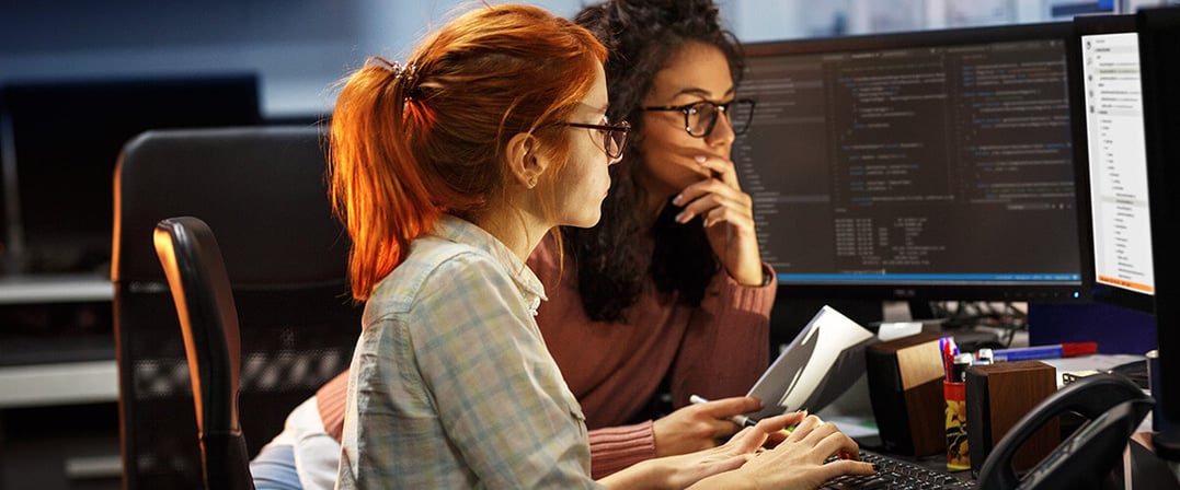 Two IT Women Working on Their System